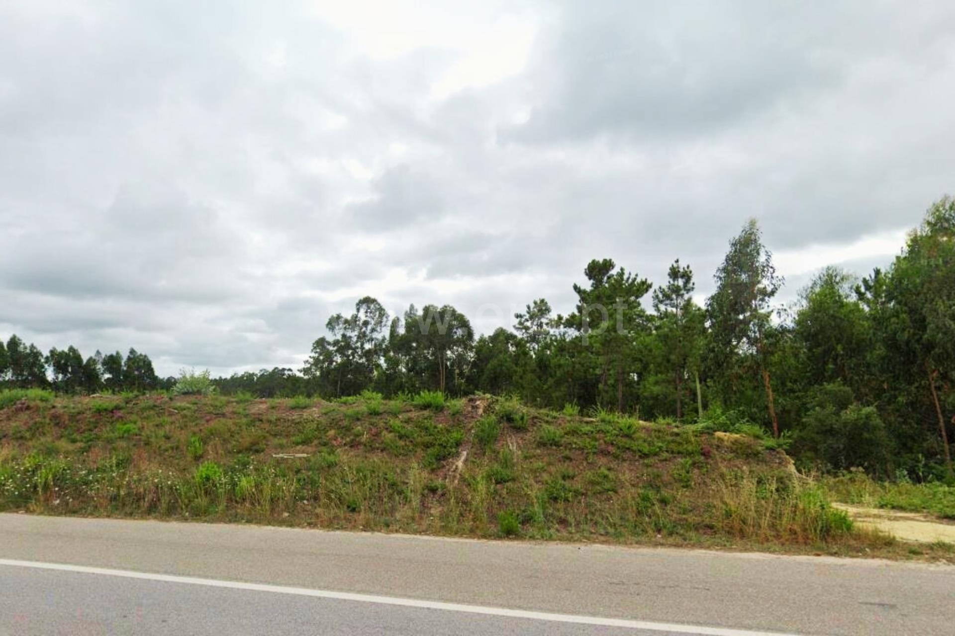 Land for sale in Mealhada, Portugal — €145,000