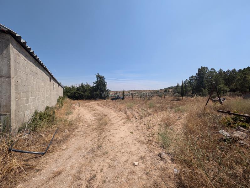 Terreno / Meda, Marialva