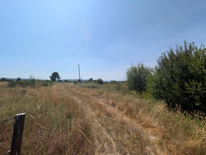 Terreno / Meda, Marialva