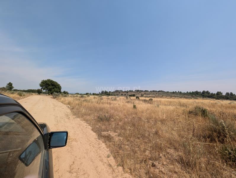 Terreno / Meda, Marialva