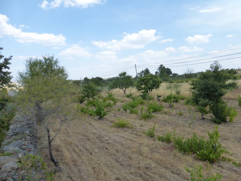 Terreno  Meda, Mêda - 758552 - 4