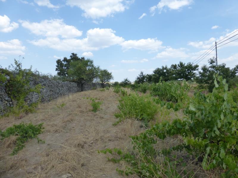 Terreno  Meda, Mêda - 758552 - 5