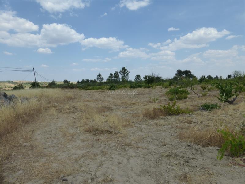 Terreno  Meda, Mêda - 758552 - 7