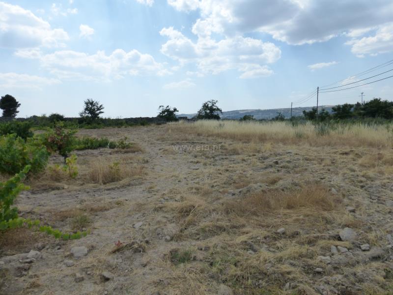 Terreno  Meda, Mêda - 758552 - 8