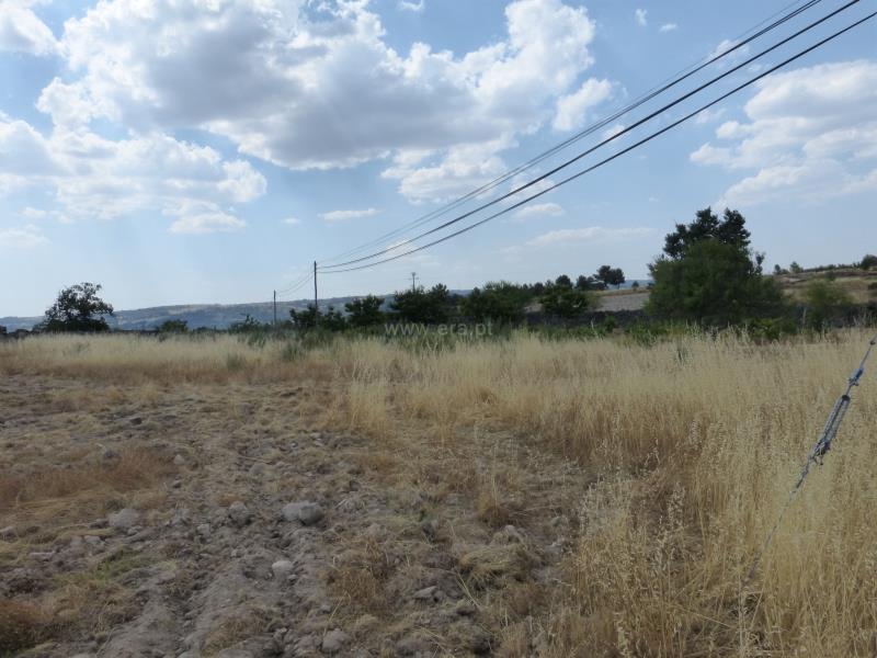 Terreno  Meda, Mêda - 758552 - 11