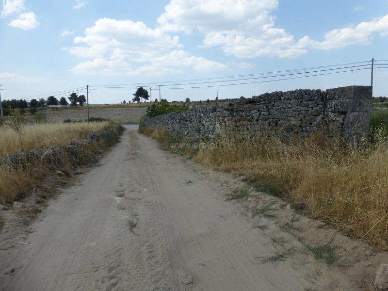 Terreno  Meda, Mêda - 758552 - 12
