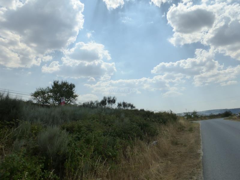 Terreno  Meda, Mêda - 758552 - 13