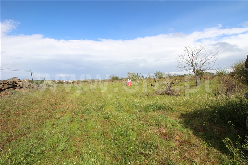 Terreno  Meda, Mêda - 758552 - 16