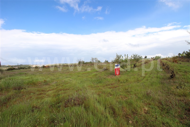 Terreno  Meda, Mêda - 758552 - 17