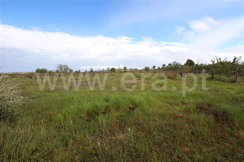 Terreno  Meda, Mêda - 758552 - 20