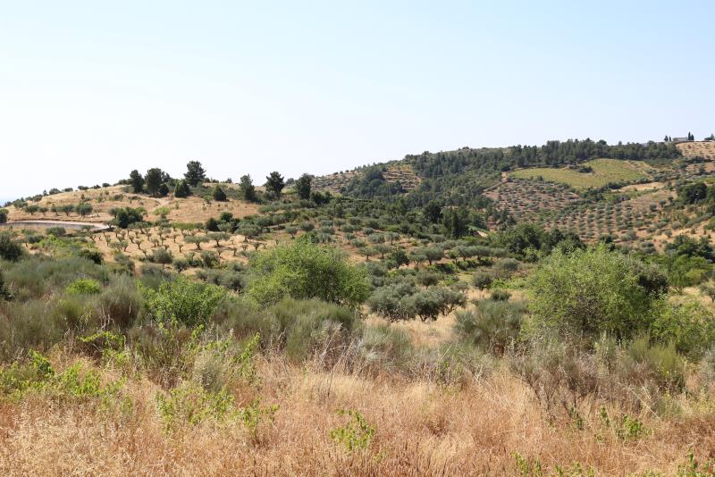 Terreno  Meda, Mêda - 749309 - 4