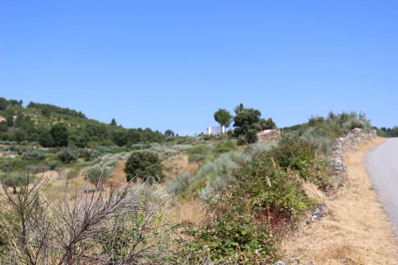 Terreno  Meda, Mêda - 749309 - 5