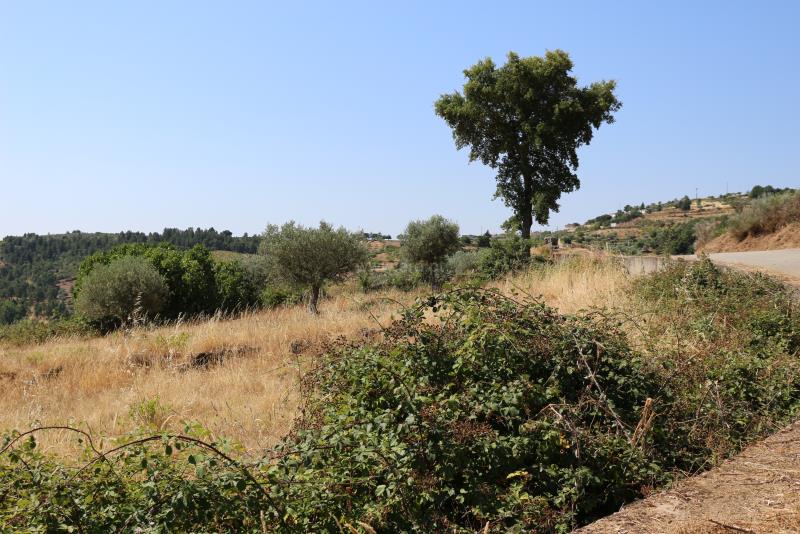 Terreno  Meda, Mêda - 749309 - 6
