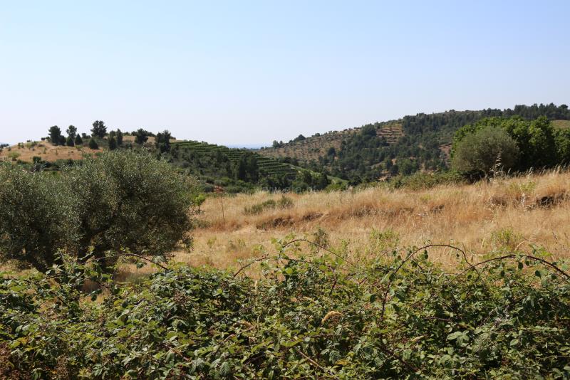 Terreno  Meda, Mêda - 749309 - 7