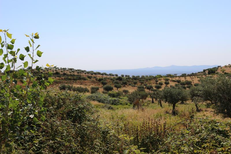Terreno  Meda, Mêda - 749309 - 9