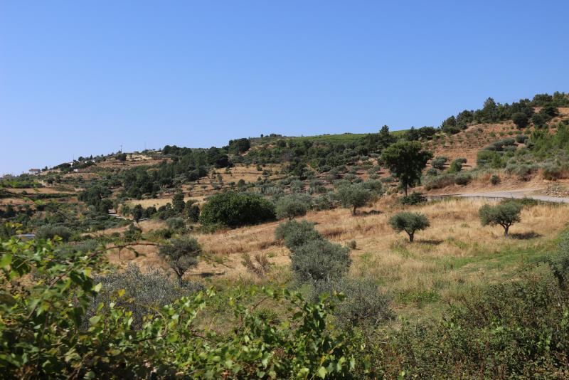 Terreno  Meda, Mêda - 749309 - 10