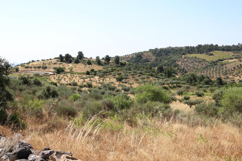 Terreno  Meda, Mêda - 749309 - 14