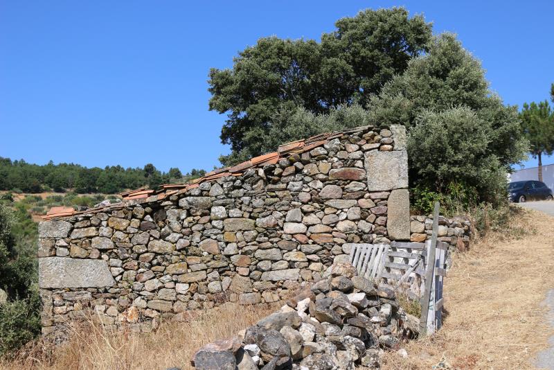 Terreno  Meda, Mêda - 749309 - 15