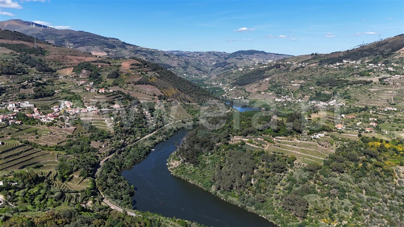 Terreno / Mesão Frio, Barqueiros