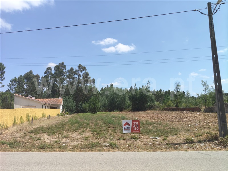 Terreno / Mira, Mira