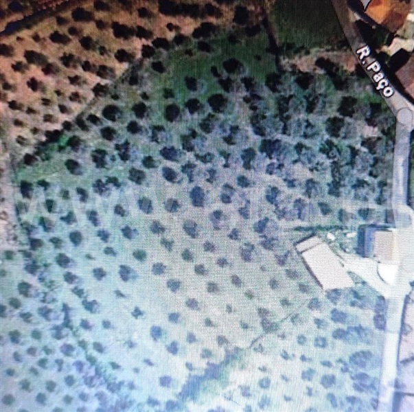 Terreno / Mirandela, Alvites