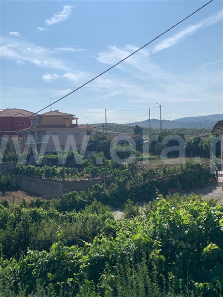 Terreno  Mirandela - 1415070 - 1