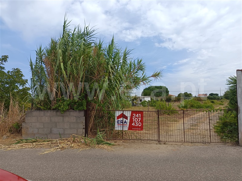 Terreno Misto / Abrantes, Cabrito