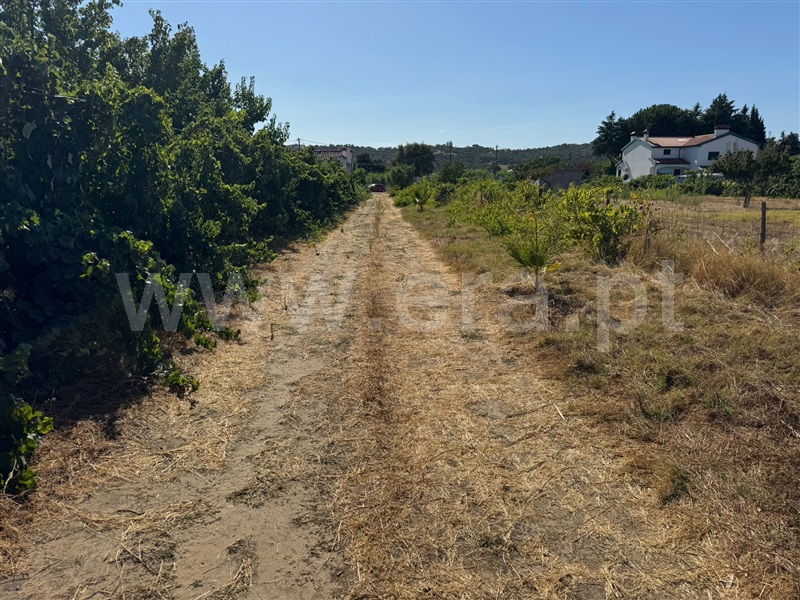 Terreno Misto  Abrantes, Cabrito - 1505287 - 6