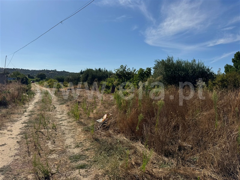 Terreno Misto  Abrantes, Cabrito - 1505287 - 8