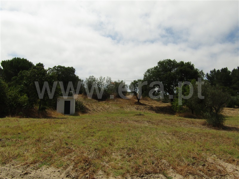 Terreno Misto  Abrantes, Casa Branca - 1261682 - 2