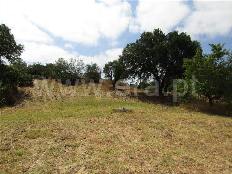 Terreno Misto  Abrantes, Casa Branca - 1261682 - 3
