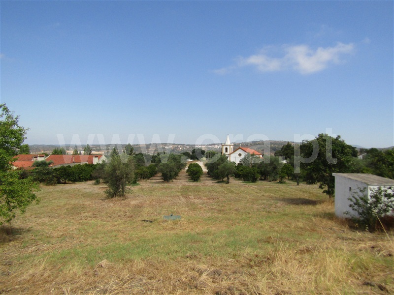 Terreno Misto / Abrantes, Casa Branca