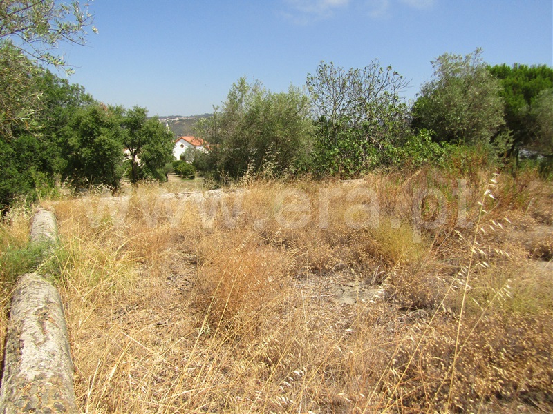 Terreno Misto  Abrantes, Casa Branca - 1261682 - 6