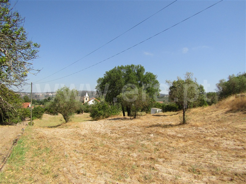 Terreno Misto  Abrantes, Casa Branca - 1261682 - 7