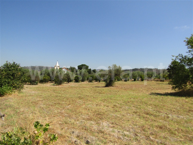 Terreno Misto  Abrantes, Casa Branca - 1261682 - 8