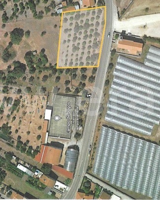 Terreno Misto  Abrantes, Casa Branca - 1261682 - 10