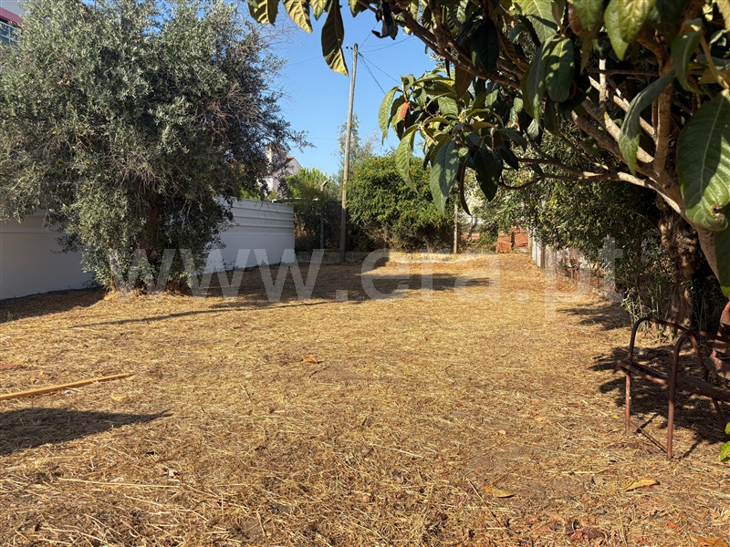 Terreno Misto  Abrantes, Concavada - 1499795 - 3