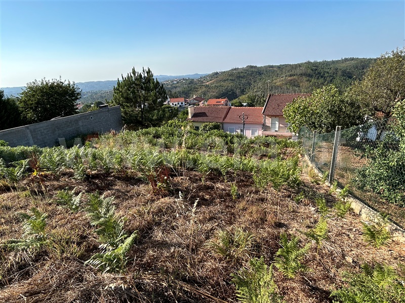 Terreno Misto / Abrantes, Fontes