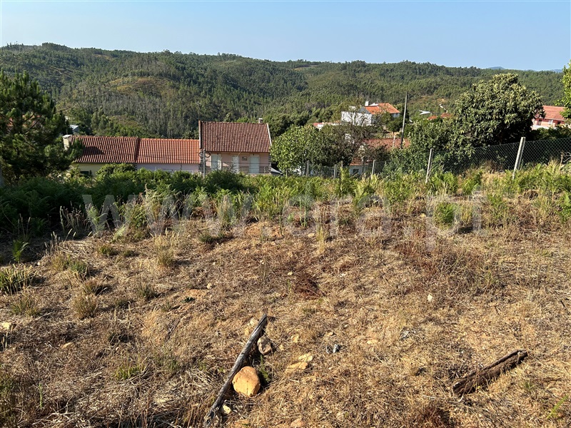 Terreno Misto  Abrantes, Fontes - 1501481 - 5