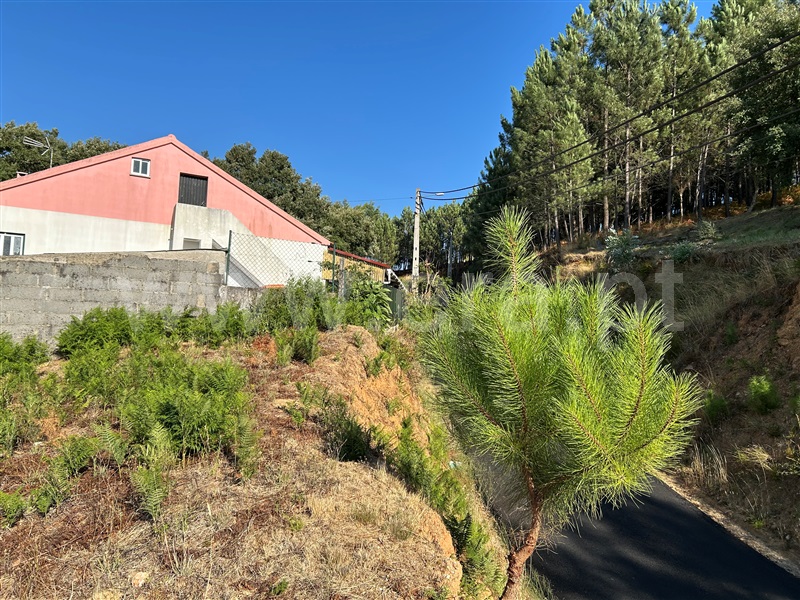 Terreno Misto  Abrantes, Fontes - 1501481 - 6