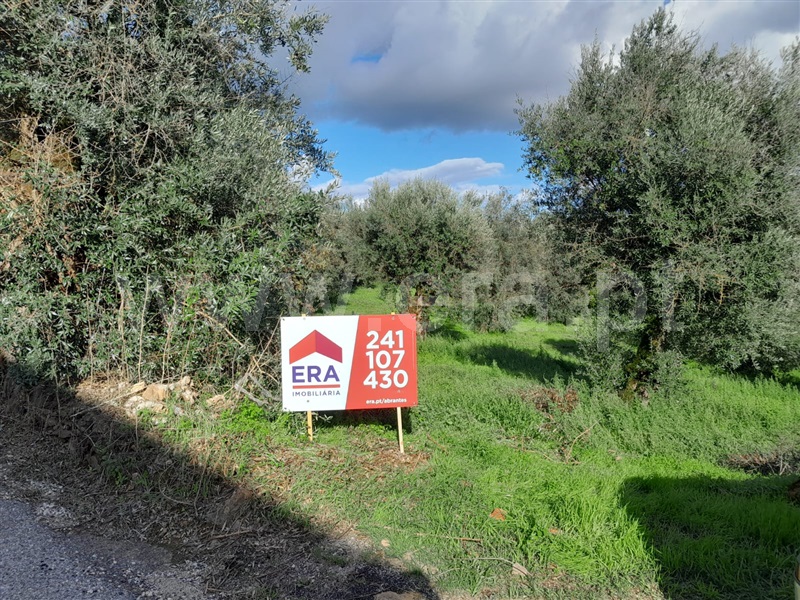 Terreno Misto / Abrantes, Mouriscas