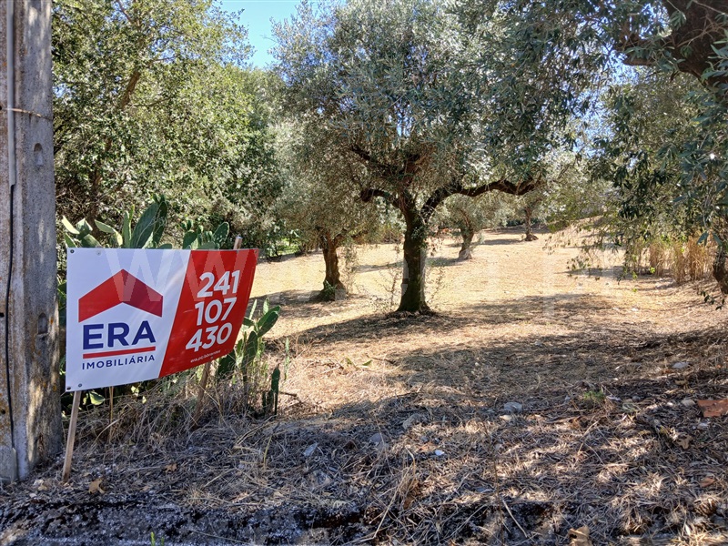 Terreno Misto  Abrantes, Pego - 1476777 - 3