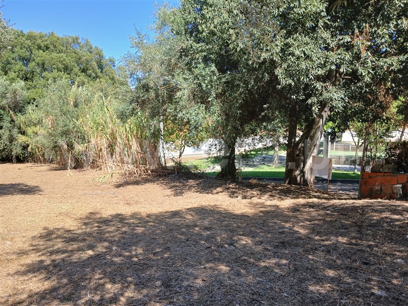 Terreno Misto  Abrantes, Pego - 1476777 - 4