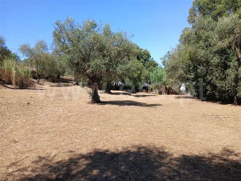 Terreno Misto  Abrantes, Pego - 1476777 - 5