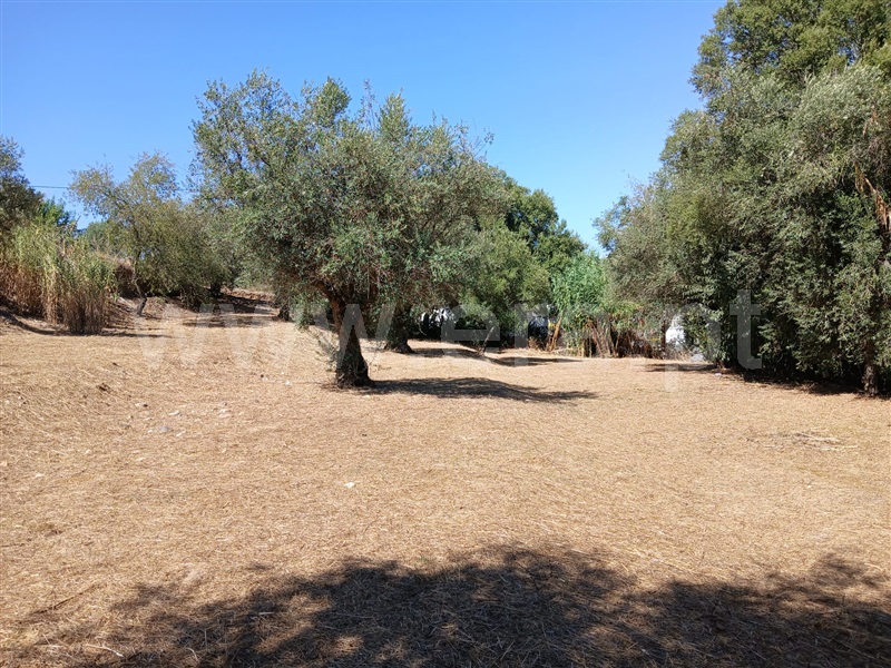 Terreno Misto  Abrantes, Pego - 1476777 - 6