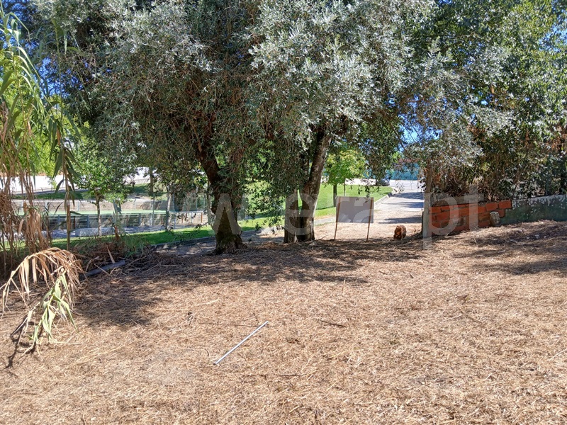 Terreno Misto  Abrantes, Pego - 1476777 - 7