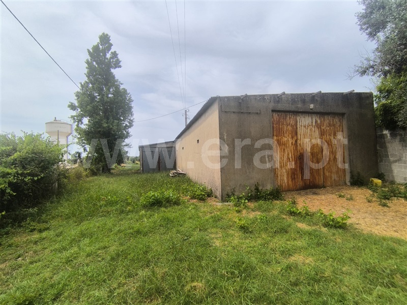Terreno Misto  Abrantes, Pego - 1478861 - 2
