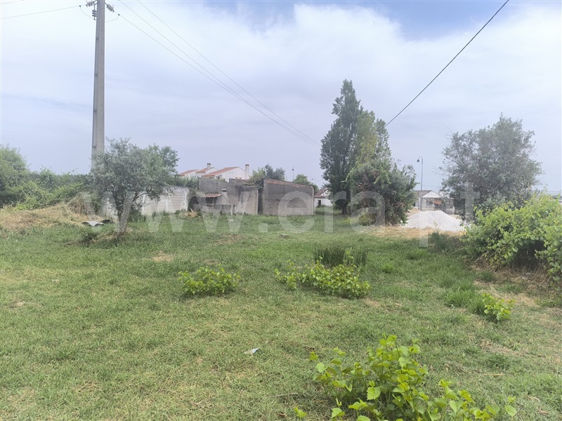 Terreno Misto  Abrantes, Pego - 1478861 - 3