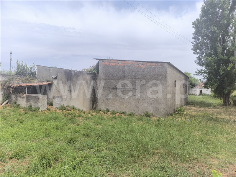 Terreno Misto  Abrantes, Pego - 1478861 - 6