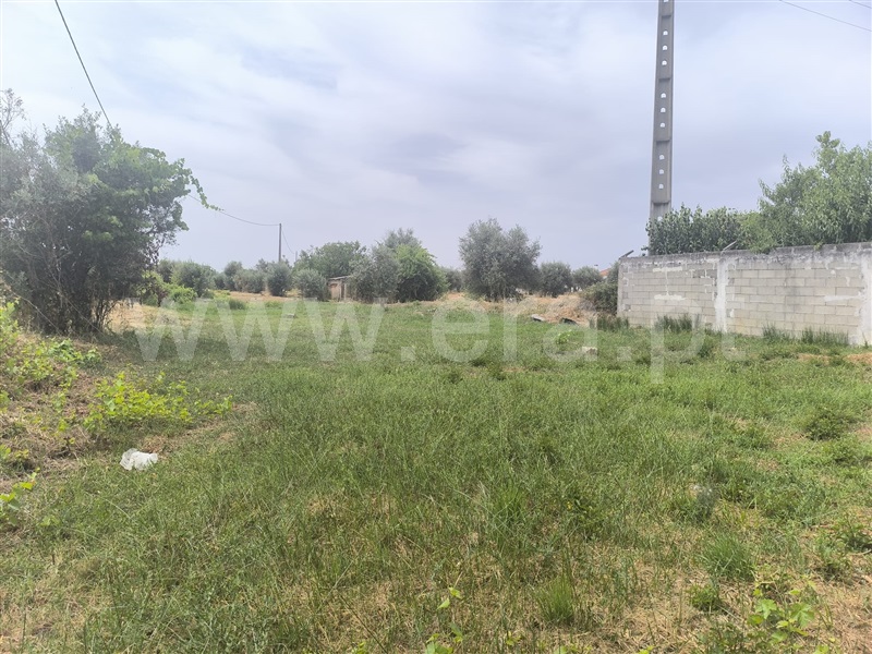 Terreno Misto  Abrantes, Pego - 1478861 - 7